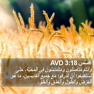 أفَسُس 3:18 AVD Bible Verse Image
