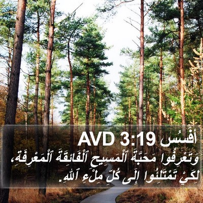أفَسُس 3:19 AVD Bible Verse Image