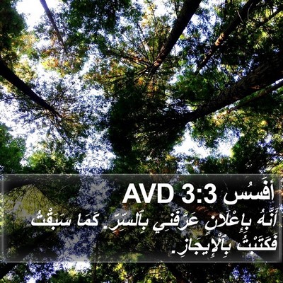 أفَسُس 3:3 AVD Bible Verse Image