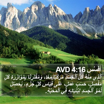 أفَسُس 4:16 AVD Bible Verse Image