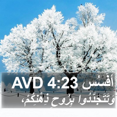 أفَسُس 4:23 AVD Bible Verse Image