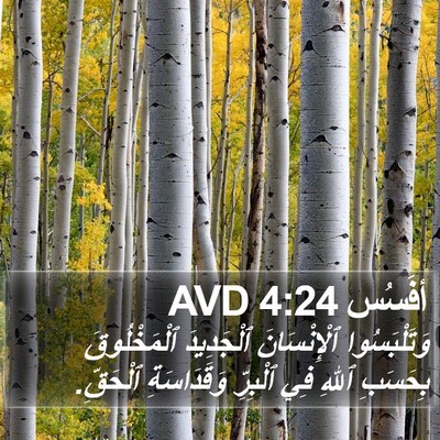 أفَسُس 4:24 AVD Bible Verse Image