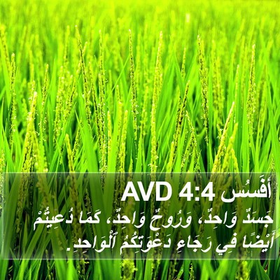 أفَسُس 4:4 AVD Bible Verse Image