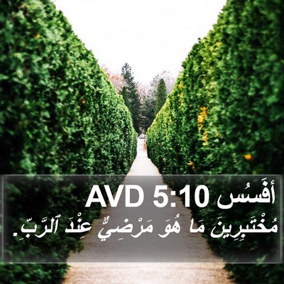 أفَسُس 5:10 AVD Bible Verse Image