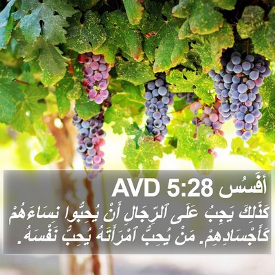 أفَسُس 5:28 AVD Bible Verse Image