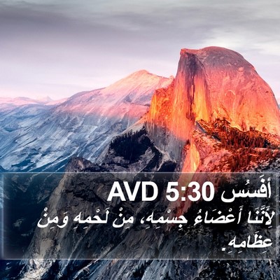 أفَسُس 5:30 AVD Bible Verse Image