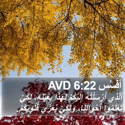 أفَسُس 6:22 AVD Bible Verse Image