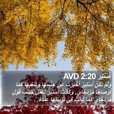 أَسْتِير 2:20 AVD Bible Verse Image