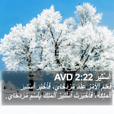 أَسْتِير 2:22 AVD Bible Verse Image