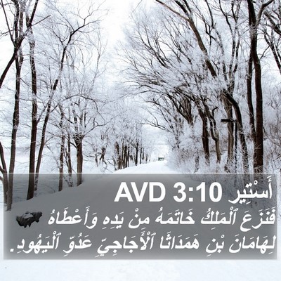 أَسْتِير 3:10 AVD Bible Verse Image