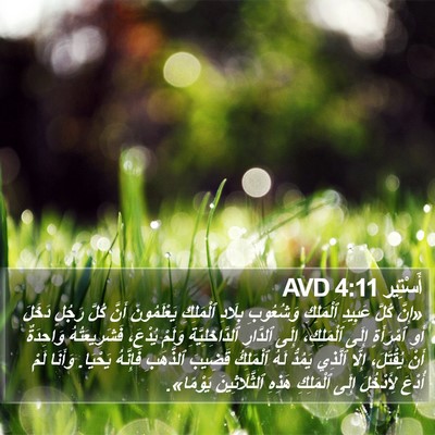 أَسْتِير 4:11 AVD Bible Verse Image