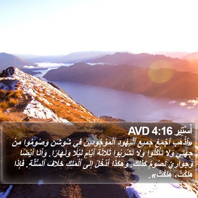 أَسْتِير 4:16 AVD Bible Verse Image