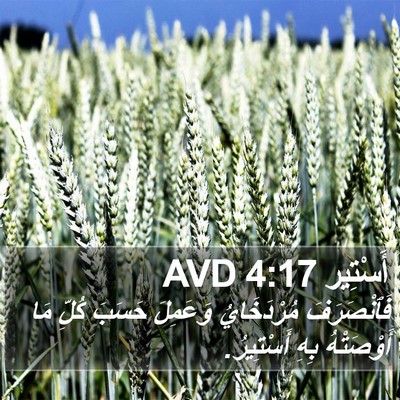 أَسْتِير 4:17 AVD Bible Verse Image