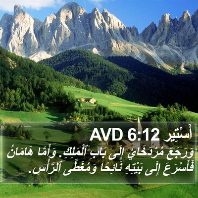 أَسْتِير 6:12 AVD Bible Verse Image