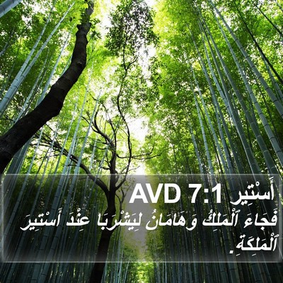 أَسْتِير 7:1 AVD Bible Verse Image