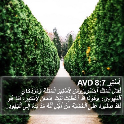 أَسْتِير 8:7 AVD Bible Verse Image