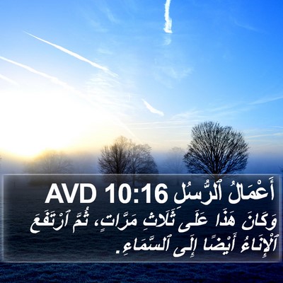 أَعْمَالُ ٱلرُّسُلِ 10:16 AVD Bible Verse Image