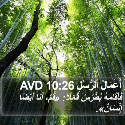 أَعْمَالُ ٱلرُّسُلِ 10:26 AVD Bible Verse Image