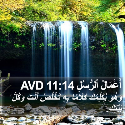 أَعْمَالُ ٱلرُّسُلِ 11:14 AVD Bible Verse Image