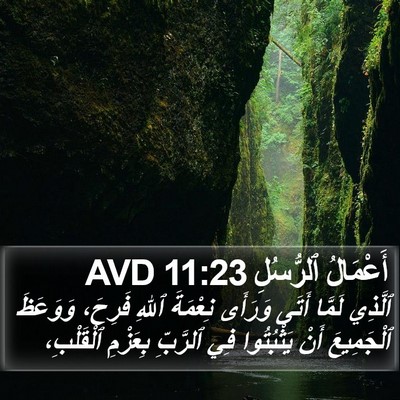 أَعْمَالُ ٱلرُّسُلِ 11:23 AVD Bible Verse Image