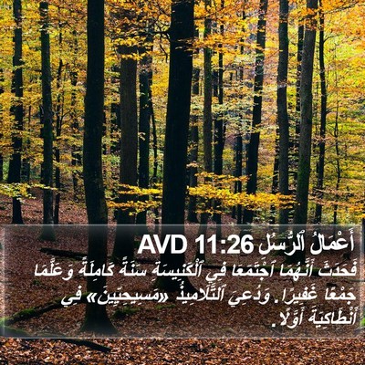 أَعْمَالُ ٱلرُّسُلِ 11:26 AVD Bible Verse Image