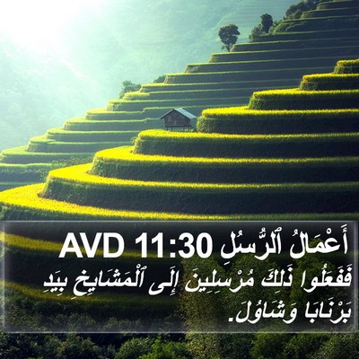 أَعْمَالُ ٱلرُّسُلِ 11:30 AVD Bible Verse Image