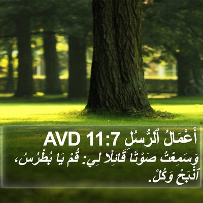 أَعْمَالُ ٱلرُّسُلِ 11:7 AVD Bible Verse Image