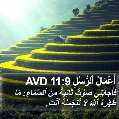أَعْمَالُ ٱلرُّسُلِ 11:9 AVD Bible Verse Image