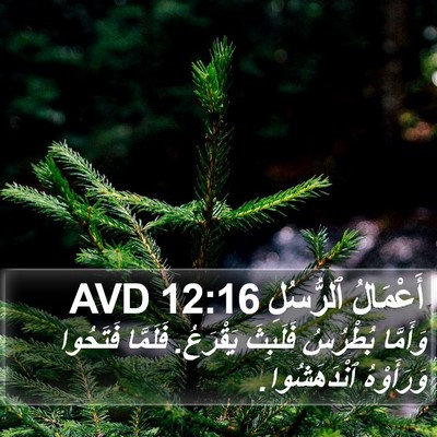 أَعْمَالُ ٱلرُّسُلِ 12:16 AVD Bible Verse Image