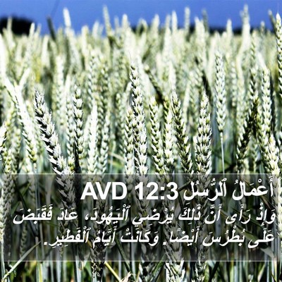 أَعْمَالُ ٱلرُّسُلِ 12:3 AVD Bible Verse Image