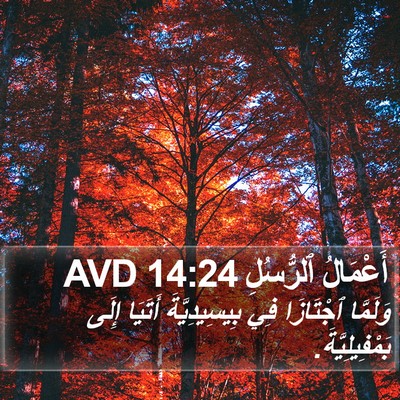 أَعْمَالُ ٱلرُّسُلِ 14:24 AVD Bible Verse Image
