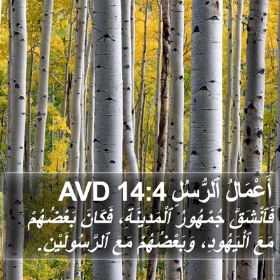أَعْمَالُ ٱلرُّسُلِ 14:4 AVD Bible Verse Image