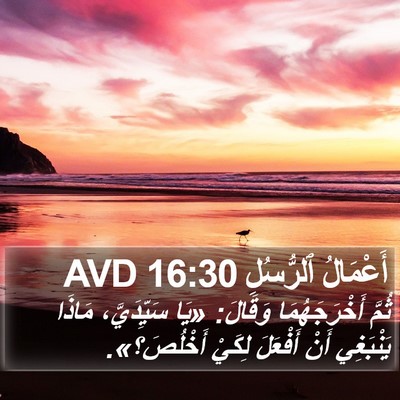 أَعْمَالُ ٱلرُّسُلِ 16:30 AVD Bible Verse Image
