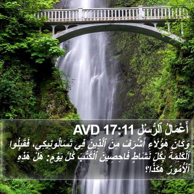 أَعْمَالُ ٱلرُّسُلِ 17:11 AVD Bible Verse Image