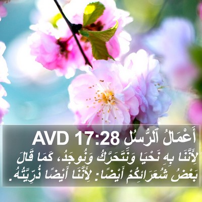 أَعْمَالُ ٱلرُّسُلِ 17:28 AVD Bible Verse Image