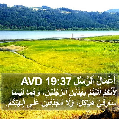 أَعْمَالُ ٱلرُّسُلِ 19:37 AVD Bible Verse Image