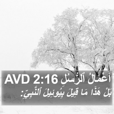 أَعْمَالُ ٱلرُّسُلِ 2:16 AVD Bible Verse Image