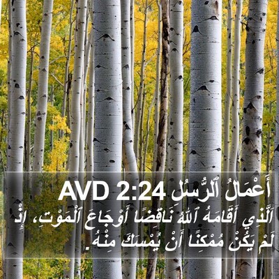 أَعْمَالُ ٱلرُّسُلِ 2:24 AVD Bible Verse Image