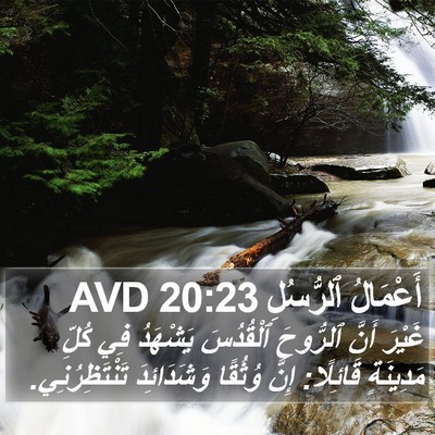 أَعْمَالُ ٱلرُّسُلِ 20:23 AVD Bible Verse Image