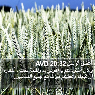 أَعْمَالُ ٱلرُّسُلِ 20:32 AVD Bible Verse Image