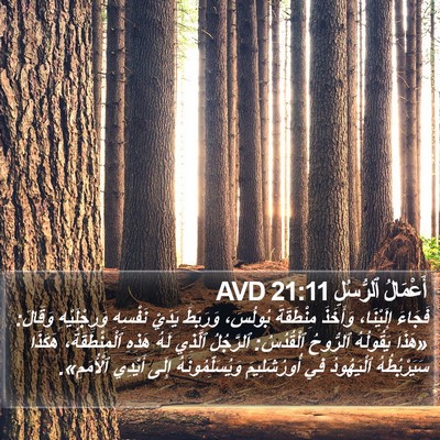 أَعْمَالُ ٱلرُّسُلِ 21:11 AVD Bible Verse Image