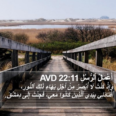 أَعْمَالُ ٱلرُّسُلِ 22:11 AVD Bible Verse Image