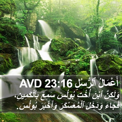 أَعْمَالُ ٱلرُّسُلِ 23:16 AVD Bible Verse Image