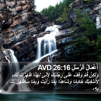 أَعْمَالُ ٱلرُّسُلِ 26:16 AVD Bible Verse Image