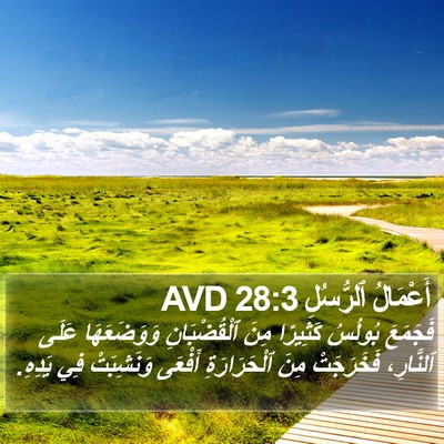 أَعْمَالُ ٱلرُّسُلِ 28:3 AVD Bible Verse Image