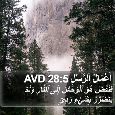 أَعْمَالُ ٱلرُّسُلِ 28:5 AVD Bible Verse Image