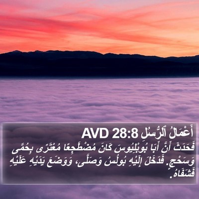 أَعْمَالُ ٱلرُّسُلِ 28:8 AVD Bible Verse Image