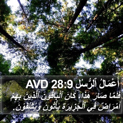 أَعْمَالُ ٱلرُّسُلِ 28:9 AVD Bible Verse Image
