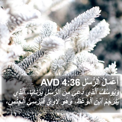 أَعْمَالُ ٱلرُّسُلِ 4:36 AVD Bible Verse Image