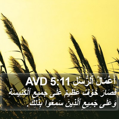 أَعْمَالُ ٱلرُّسُلِ 5:11 AVD Bible Verse Image